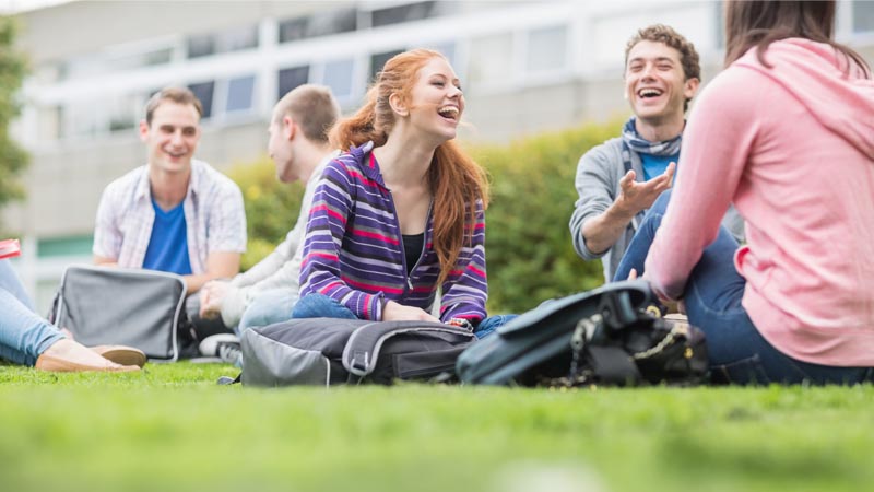 Image of students sitting on grass talking in groups